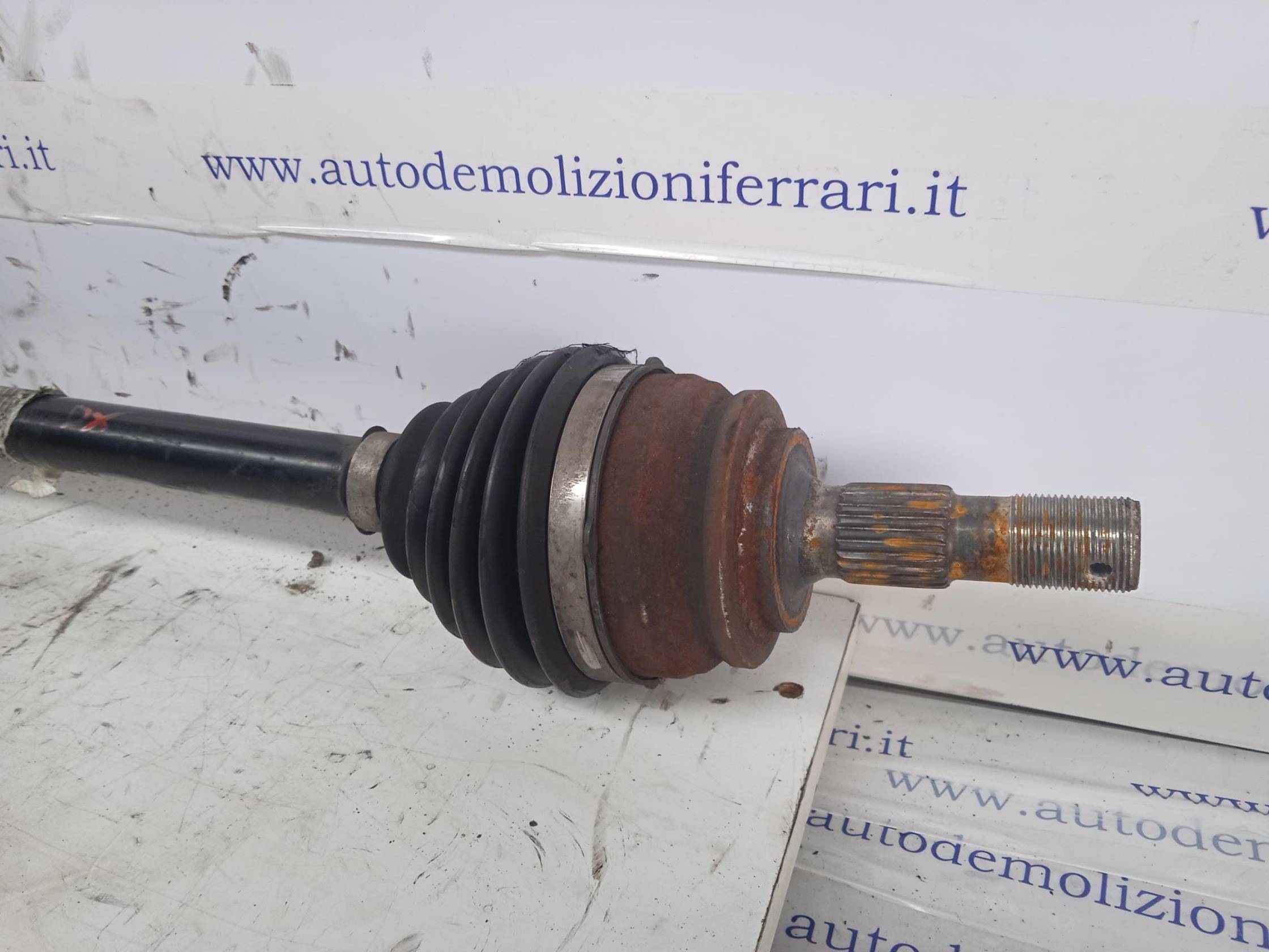 Semialbero ant. compl. dx.